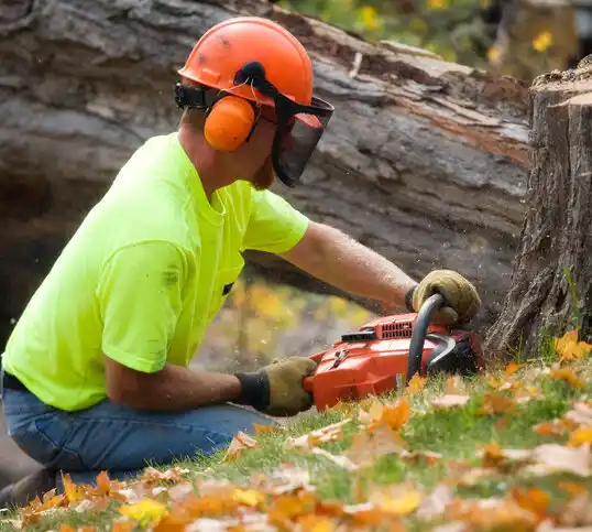 tree services La Grange